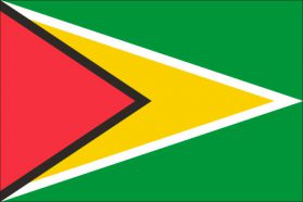 世界の国旗　北米・中南米諸国　ガイアナ　/　GUYANA　/　GUY