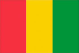 世界の国旗　アフリカ諸国　ギニア　/　GUINEA　/　GIN