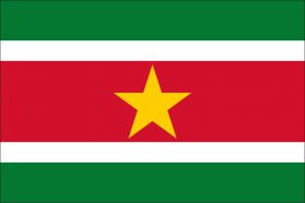 世界の国旗　北米・中南米諸国　スリナム　/　SURINAME　/　SUR