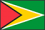 世界地図国旗アイコン　中南米　ガイアナ