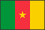 世界地図国旗アイコン　アフリカ　カメルーン