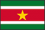 世界地図国旗アイコン　中南米　スリナム