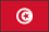 世界地図国旗アイコン　アフリカ　チュニジア