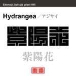 紫陽花　アジサイ　花や植物の名前（漢字表記）を角字で表現してみました。該当する植物についても簡単に解説しています。