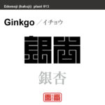 銀杏　イチョウ　花や植物の名前（漢字表記）を角字で表現してみました。該当する植物についても簡単に解説しています。