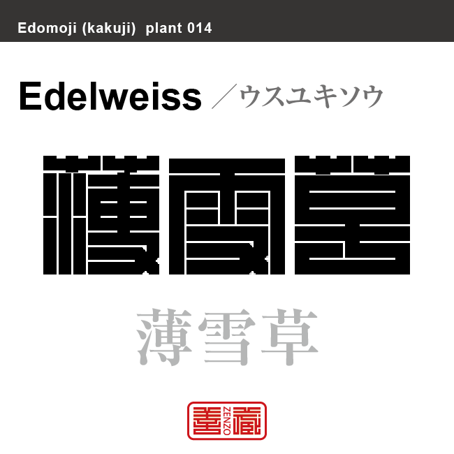 薄雪草　ウスユキソウ　花や植物の名前（漢字表記）を角字で表現してみました。該当する植物についても簡単に解説しています。