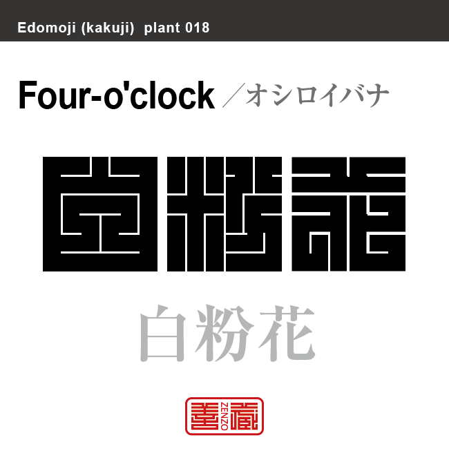 白粉花　オシロイバナ　花や植物の名前（漢字表記）を角字で表現してみました。該当する植物についても簡単に解説しています。