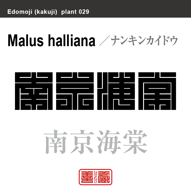 南京海棠　ナンキンカイドウ　花や植物の名前（漢字表記）を角字で表現してみました。該当する植物についても簡単に解説しています。