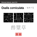 酢漿草 片喰　カタバミ　花や植物の名前（漢字表記）を角字で表現してみました。該当する植物についても簡単に解説しています。