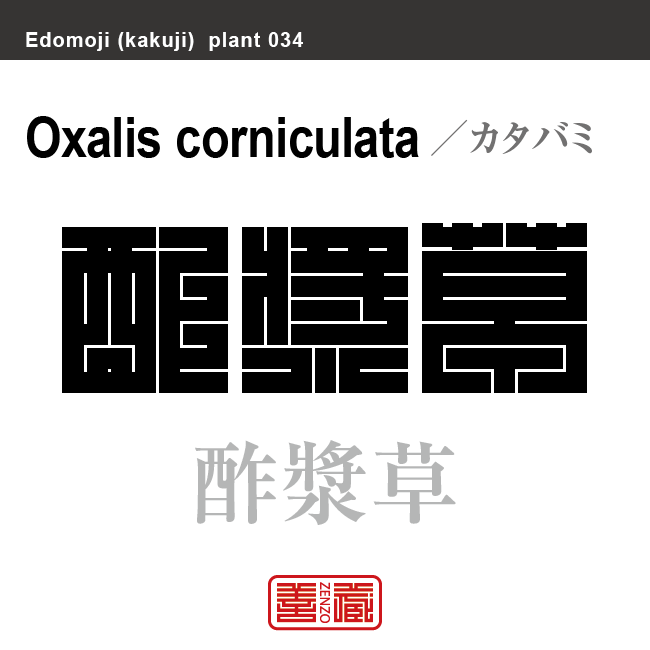 酢漿草 片喰　カタバミ　花や植物の名前（漢字表記）を角字で表現してみました。該当する植物についても簡単に解説しています。