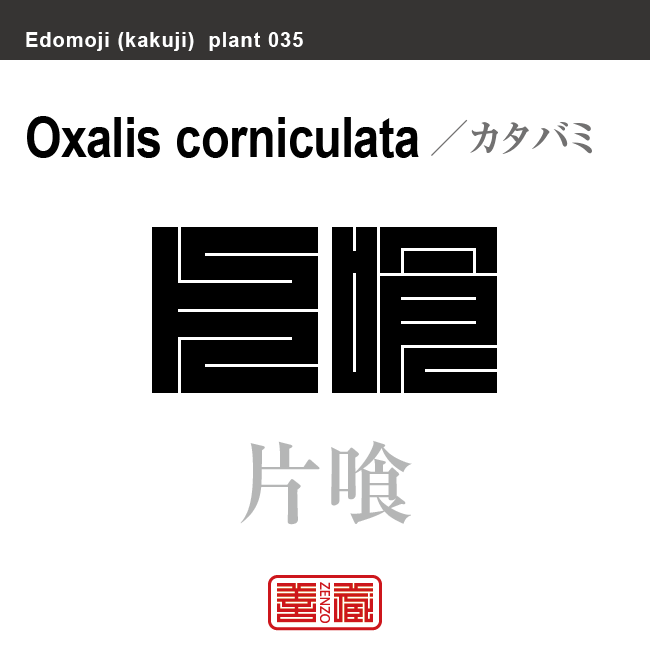 酢漿草 片喰　カタバミ　花や植物の名前（漢字表記）を角字で表現してみました。該当する植物についても簡単に解説しています。