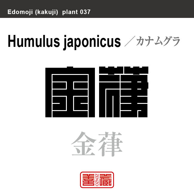 金葎 鉄葎　カナムグラ　花や植物の名前（漢字表記）を角字で表現してみました。該当する植物についても簡単に解説しています。