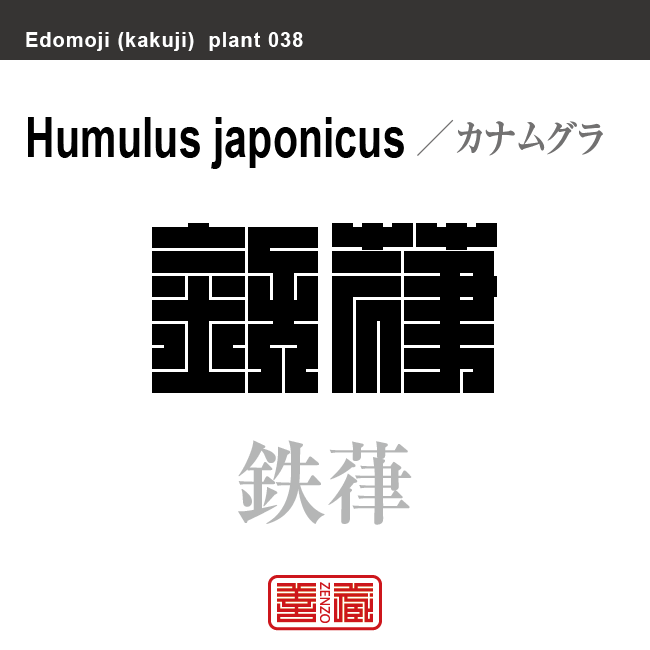 金葎 鉄葎　カナムグラ　花や植物の名前（漢字表記）を角字で表現してみました。該当する植物についても簡単に解説しています。