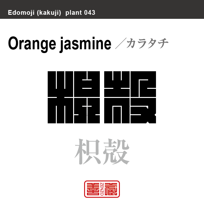 枳殻 枸橘　カラタチ/キコク　花や植物の名前（漢字表記）を角字で表現してみました。該当する植物についても簡単に解説しています。
