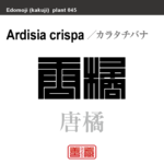 唐橘　カラタチバナ　花や植物の名前（漢字表記）を角字で表現してみました。該当する植物についても簡単に解説しています。