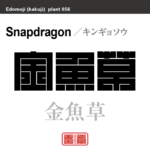 金魚草　キンギョソウ　花や植物の名前（漢字表記）を角字で表現してみました。該当する植物についても簡単に解説しています。