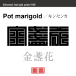 金盞花　キンセンカ　花や植物の名前（漢字表記）を角字で表現してみました。該当する植物についても簡単に解説しています。