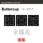 金鳳花　キンポウゲ　花や植物の名前（漢字表記）を角字で表現してみました。該当する植物についても簡単に解説しています。