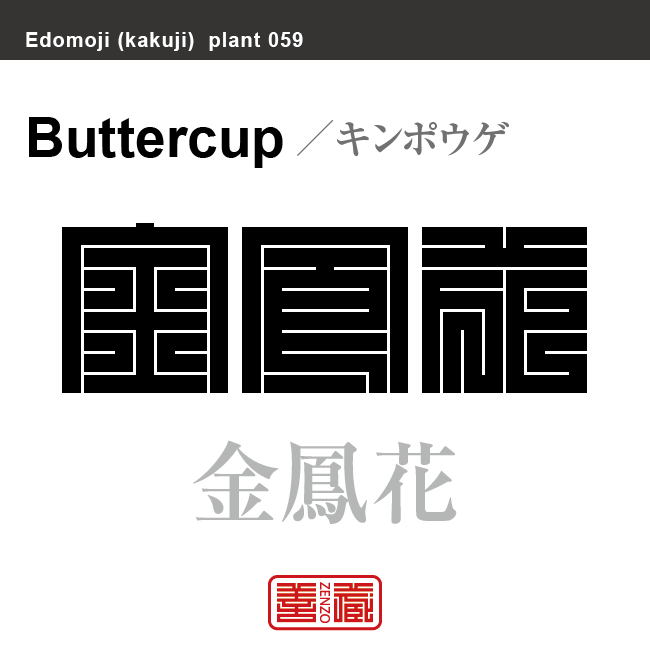 金鳳花　キンポウゲ　花や植物の名前（漢字表記）を角字で表現してみました。該当する植物についても簡単に解説しています。