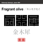 金木犀　キンモクセイ　花や植物の名前（漢字表記）を角字で表現してみました。該当する植物についても簡単に解説しています。