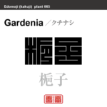 梔子 巵子　クチナシ　花や植物の名前（漢字表記）を角字で表現してみました。該当する植物についても簡単に解説しています。