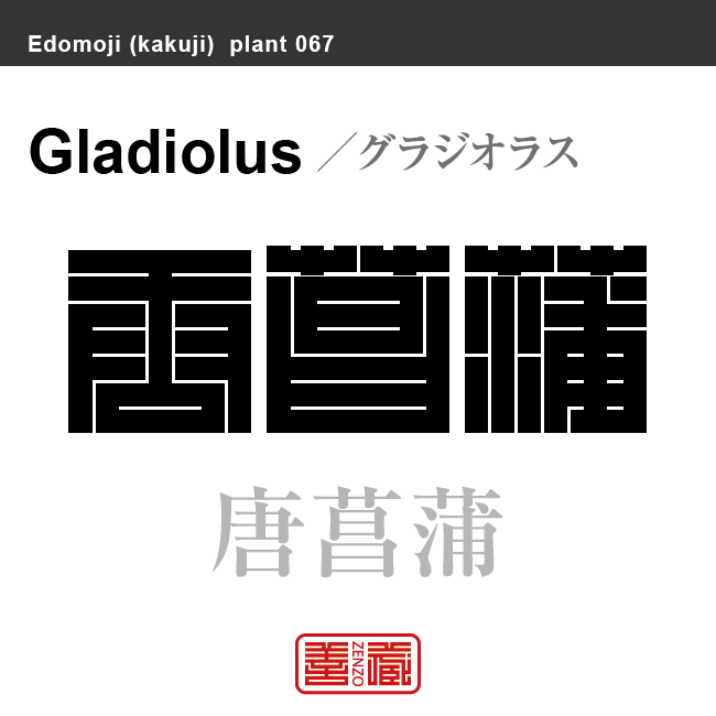 唐菖蒲　グラジオラス　花や植物の名前（漢字表記）を角字で表現してみました。該当する植物についても簡単に解説しています。