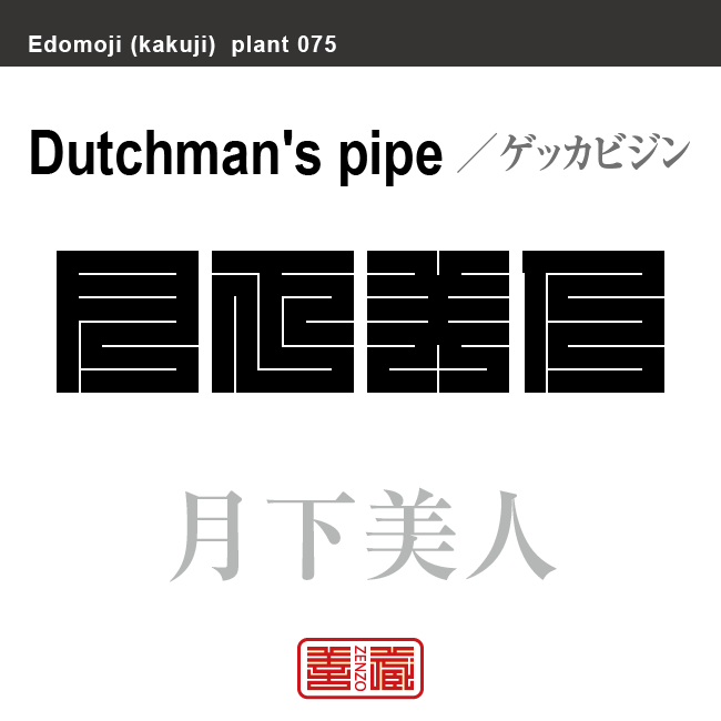 月下美人　ゲッカビジン　花や植物の名前（漢字表記）を角字で表現してみました。該当する植物についても簡単に解説しています。