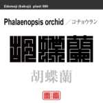 胡蝶蘭　コチョウラン　花や植物の名前（漢字表記）を角字で表現してみました。該当する植物についても簡単に解説しています。