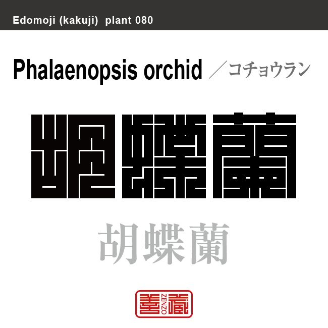 胡蝶蘭　コチョウラン　花や植物の名前（漢字表記）を角字で表現してみました。該当する植物についても簡単に解説しています。