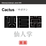 仙人掌　サボテン　花や植物の名前（漢字表記）を角字で表現してみました。該当する植物についても簡単に解説しています。