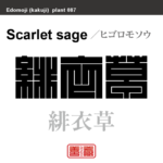 緋衣草　ヒゴロモソウ サルビア　花や植物の名前（漢字表記）を角字で表現してみました。該当する植物についても簡単に解説しています。