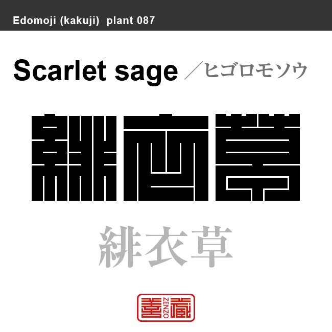 緋衣草 ヒゴロモソウ サルビア 角字で花と植物の名前 漢字表記 Zenzo