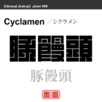 豚饅頭 篝火花　シクラメン　花や植物の名前（漢字表記）を角字で表現してみました。該当する植物についても簡単に解説しています。