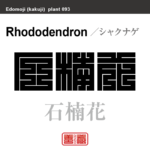 石楠花　シャクナゲ　花や植物の名前（漢字表記）を角字で表現してみました。該当する植物についても簡単に解説しています。