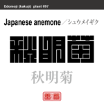 秋明菊　シュウメイギク　花や植物の名前（漢字表記）を角字で表現してみました。該当する植物についても簡単に解説しています。