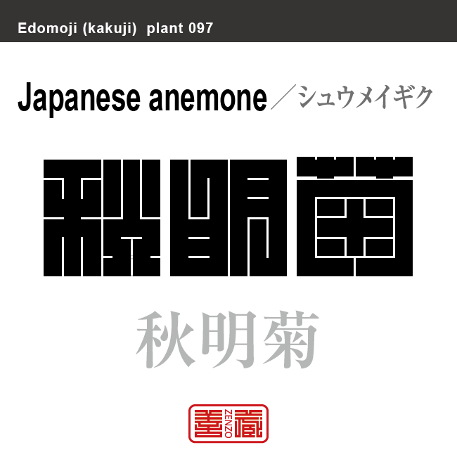 秋明菊　シュウメイギク　花や植物の名前（漢字表記）を角字で表現してみました。該当する植物についても簡単に解説しています。