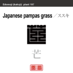 薄 芒　ススキ　花や植物の名前（漢字表記）を角字で表現してみました。該当する植物についても簡単に解説しています。