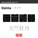 天竺牡丹　テンジクボタン ダリア　花や植物の名前（漢字表記）を角字で表現してみました。該当する植物についても簡単に解説しています。