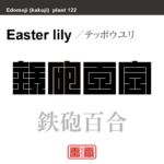 鉄砲百合　テッポウユリ　花や植物の名前（漢字表記）を角字で表現してみました。該当する植物についても簡単に解説しています。