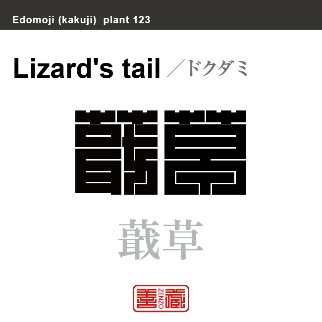 蕺草 十薬　ドクダミ　花や植物の名前（漢字表記）を角字で表現してみました。該当する植物についても簡単に解説しています。