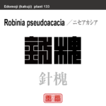 針槐　ニセアカシア ハリエンジュ　花や植物の名前（漢字表記）を角字で表現してみました。該当する植物についても簡単に解説しています。