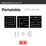 日々草　ニチニチソウ　花や植物の名前（漢字表記）を角字で表現してみました。該当する植物についても簡単に解説しています。