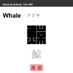 鯆 海豚 イルカ 角字で魚の名前 漢字表記 魚編 さかなへん の漢字 Zenzo