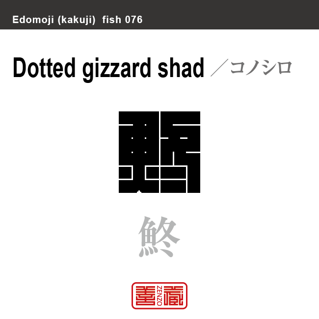 鮗 鰶 鯯 鱅　コノシロ　魚編（さかなへん）の漢字や、魚、海の生物、水の生物の名前（漢字表記）を角字で表現してみました。該当する生物についても簡単に解説しています。