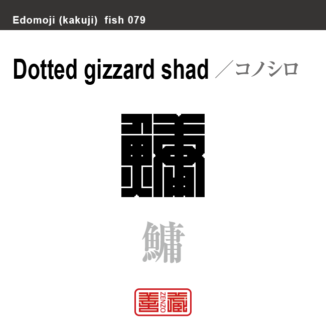 鮗 鰶 鯯 鱅　コノシロ　魚編（さかなへん）の漢字や、魚、海の生物、水の生物の名前（漢字表記）を角字で表現してみました。該当する生物についても簡単に解説しています。