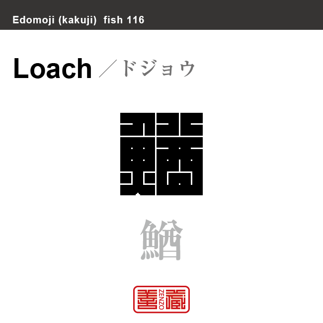 鰌 鯲 泥鰌　ドジョウ　魚編（さかなへん）の漢字や、魚、海の生物、水の生物の名前（漢字表記）を角字で表現してみました。該当する生物についても簡単に解説しています。