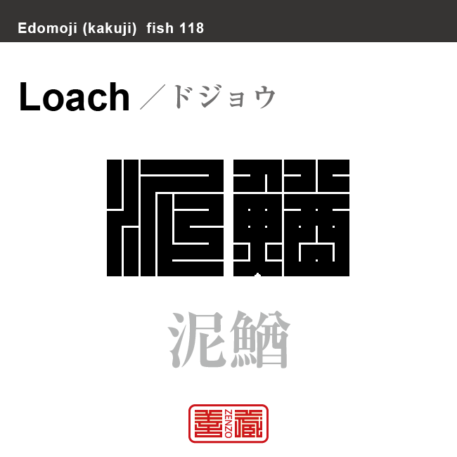 鰌 鯲 泥鰌　ドジョウ　魚編（さかなへん）の漢字や、魚、海の生物、水の生物の名前（漢字表記）を角字で表現してみました。該当する生物についても簡単に解説しています。