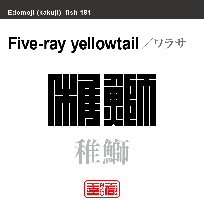 稚鰤　ワラサ　魚編（さかなへん）の漢字や、魚、海の生物、水の生物の名前（漢字表記）を角字で表現してみました。該当する生物についても簡単に解説しています。
