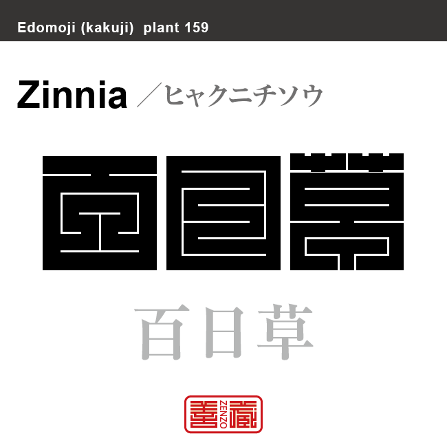 百日草　ヒャクニチソウ　花や植物の名前（漢字表記）を角字で表現してみました。該当する植物についても簡単に解説しています。