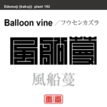 風船蔓　フウセンカズラ　花や植物の名前（漢字表記）を角字で表現してみました。該当する植物についても簡単に解説しています。